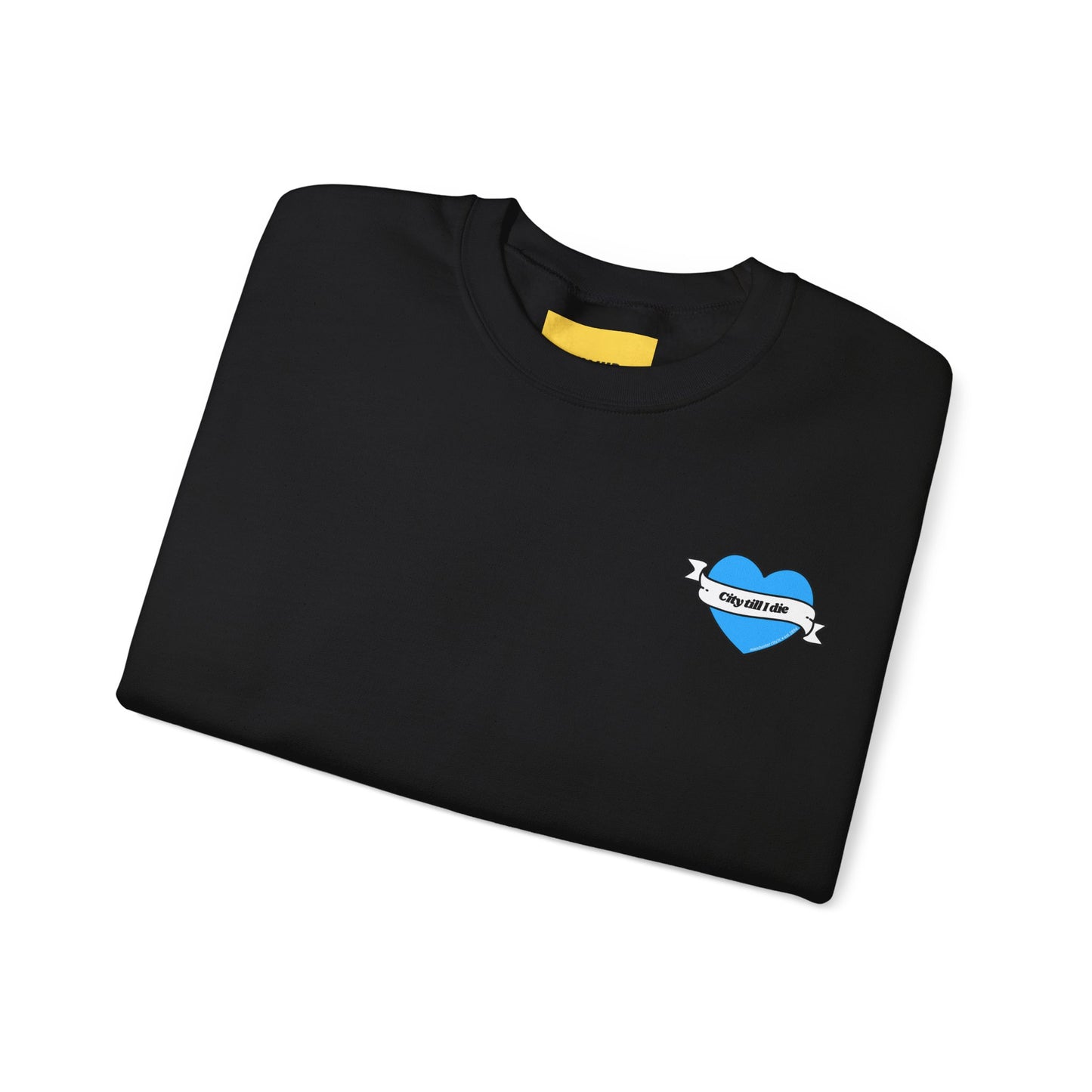 Unisex Heavy Blend™ Crewneck Sweatshirt - CITEH/CTID