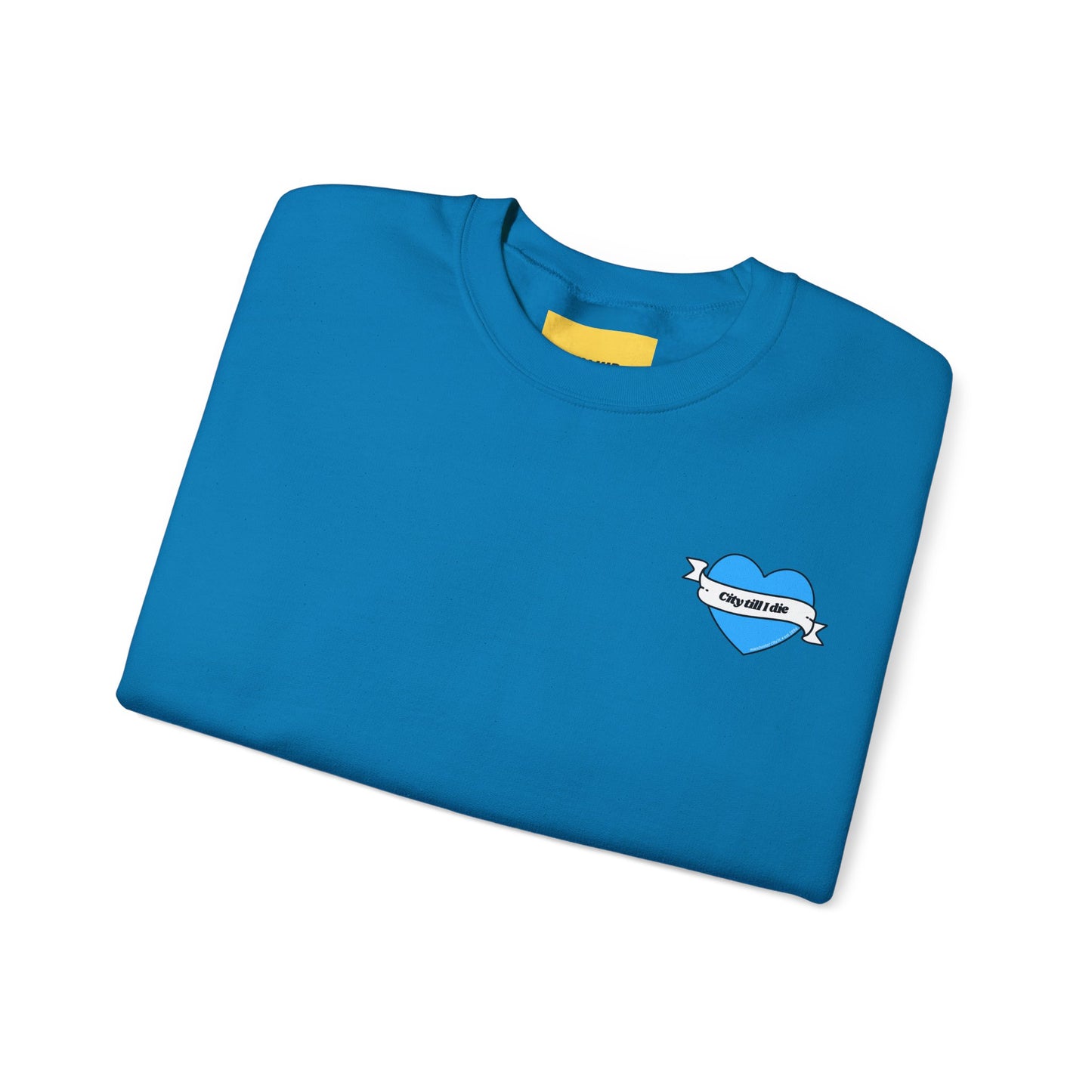 Unisex Heavy Blend™ Crewneck Sweatshirt - CITEH/CTID