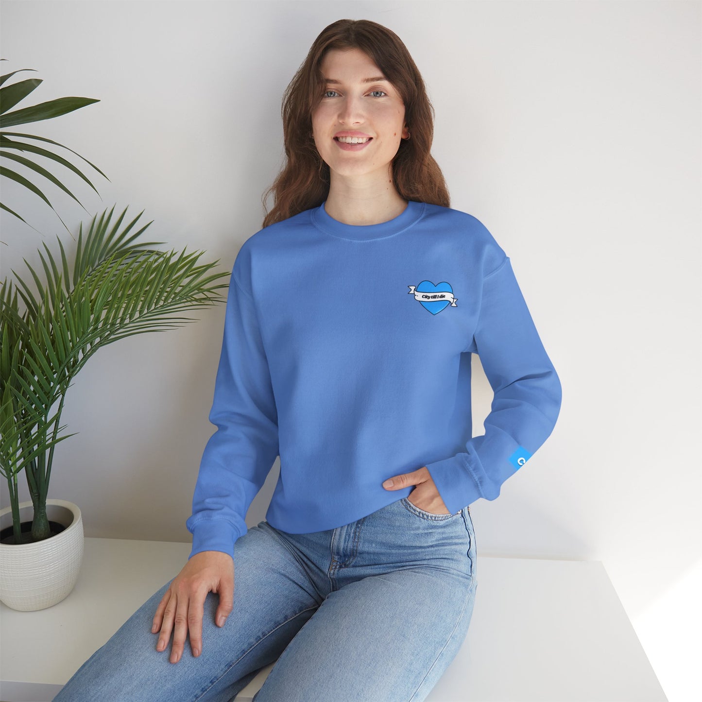 Unisex Heavy Blend™ Crewneck Sweatshirt - CITEH/CTID