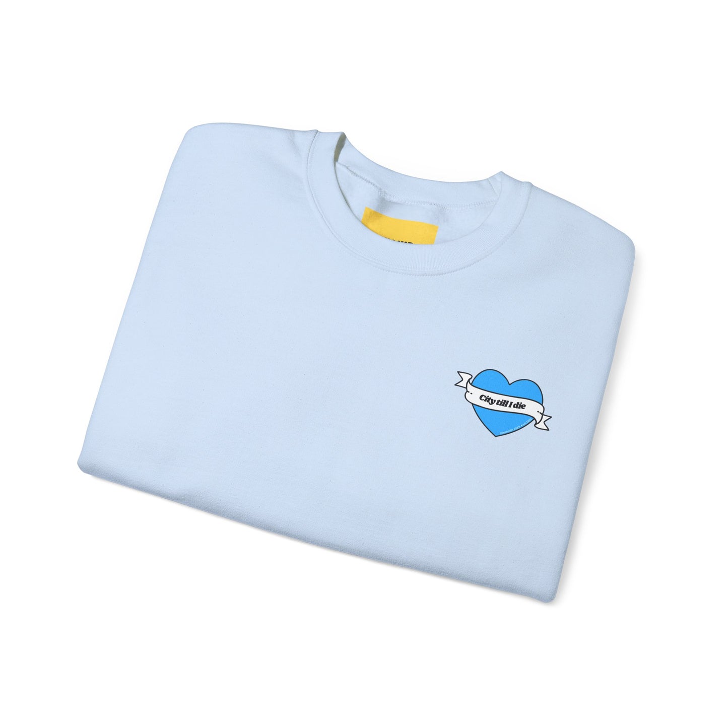 Unisex Heavy Blend™ Crewneck Sweatshirt - CITEH/CTID