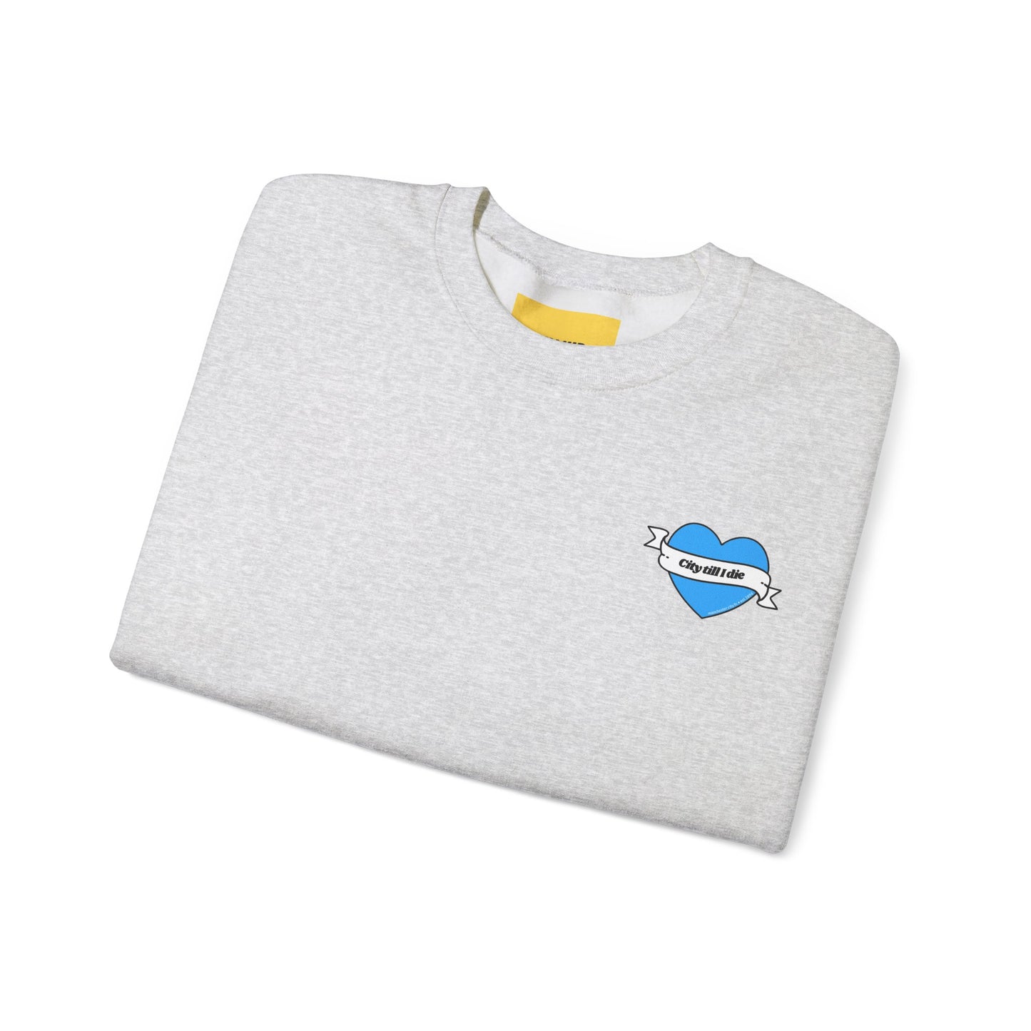 Unisex Heavy Blend™ Crewneck Sweatshirt - CITEH/CTID