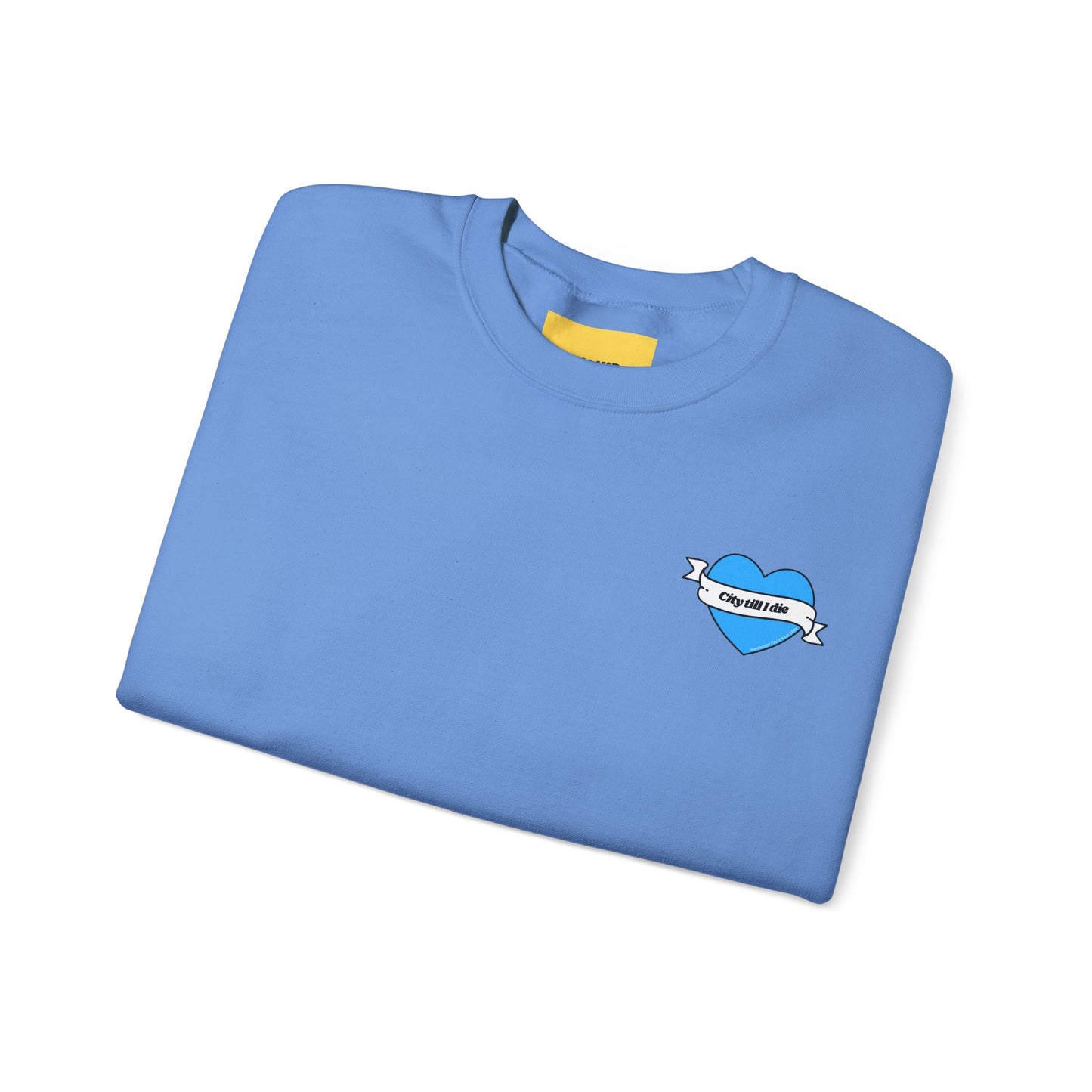 Unisex Heavy Blend™ Crewneck Sweatshirt - CITEH/CTID