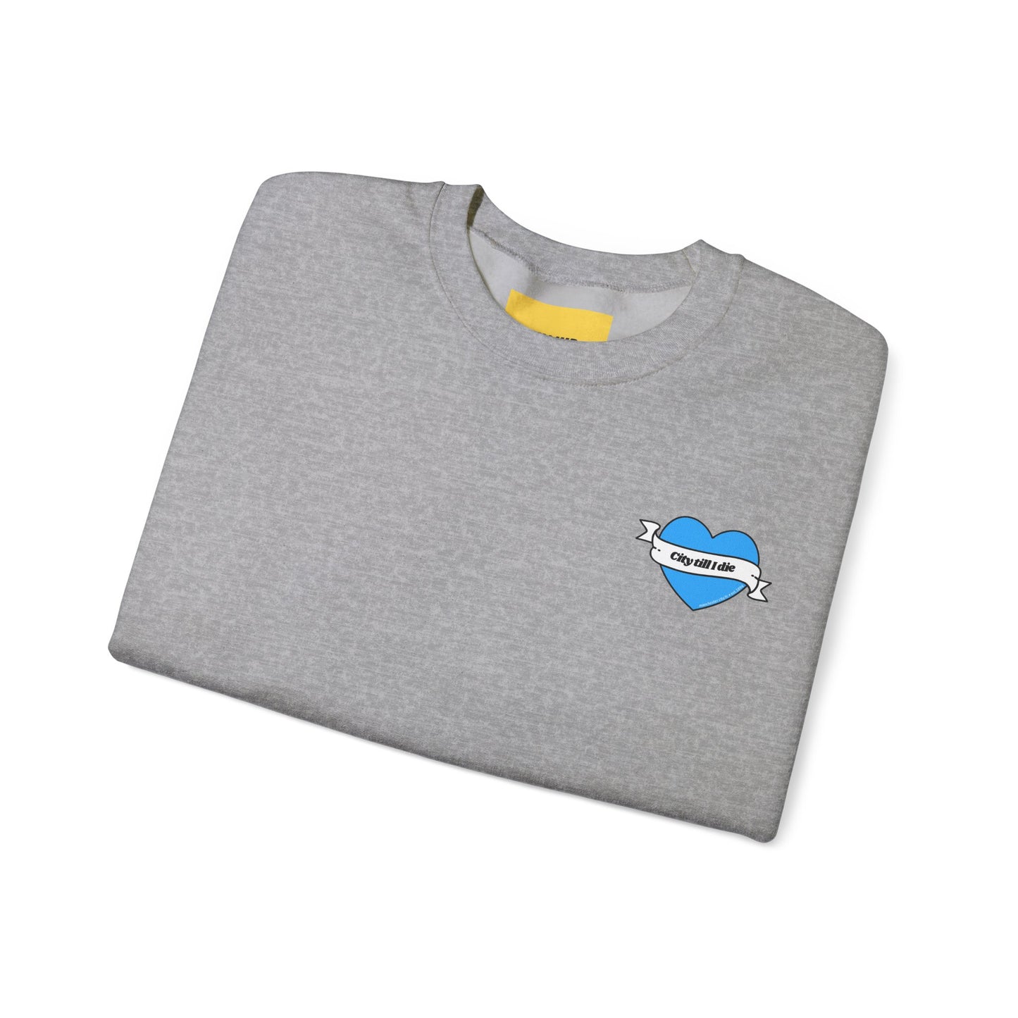Unisex Heavy Blend™ Crewneck Sweatshirt - CITEH/CTID