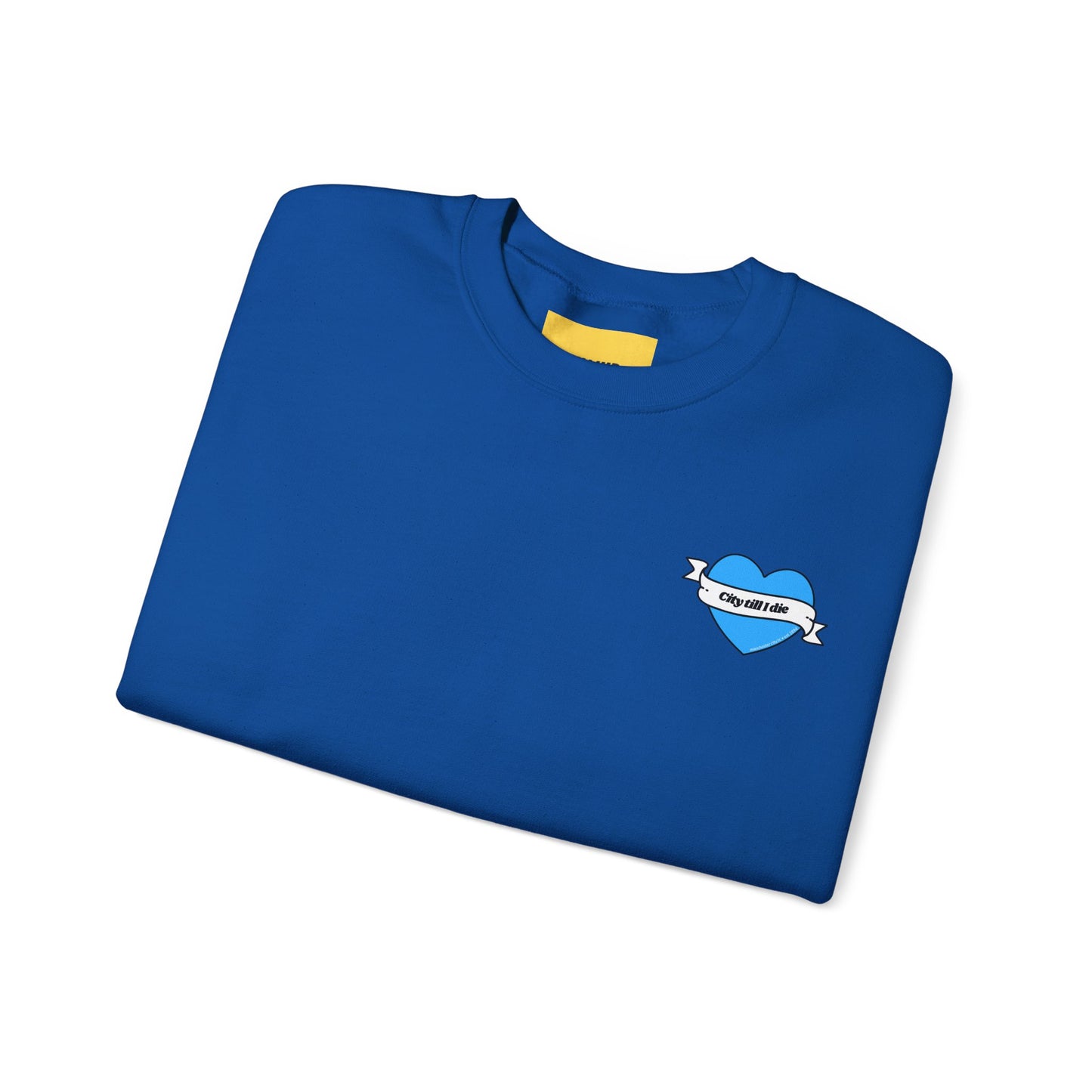 Unisex Heavy Blend™ Crewneck Sweatshirt - CITEH/CTID