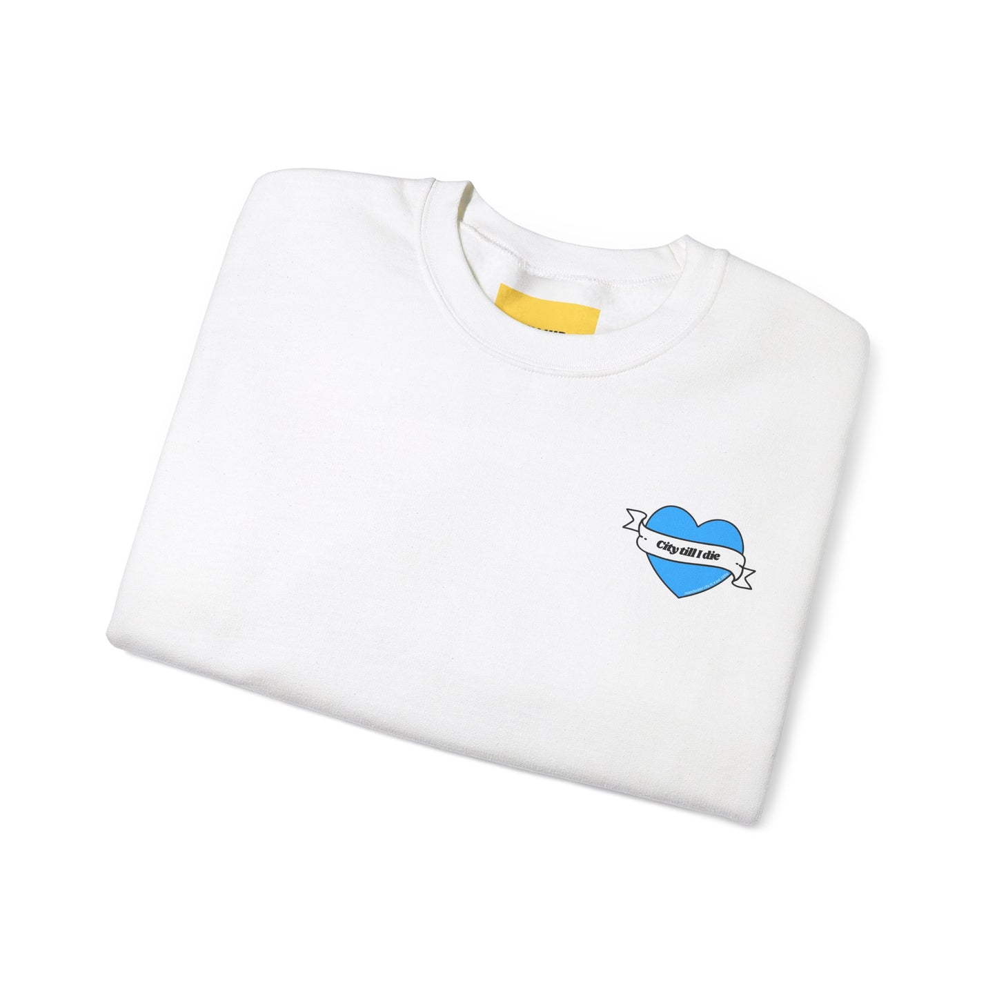 Unisex Heavy Blend™ Crewneck Sweatshirt - CITEH/CTID