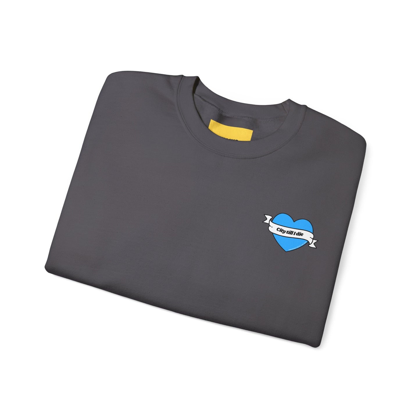 Unisex Heavy Blend™ Crewneck Sweatshirt - CITEH/CTID