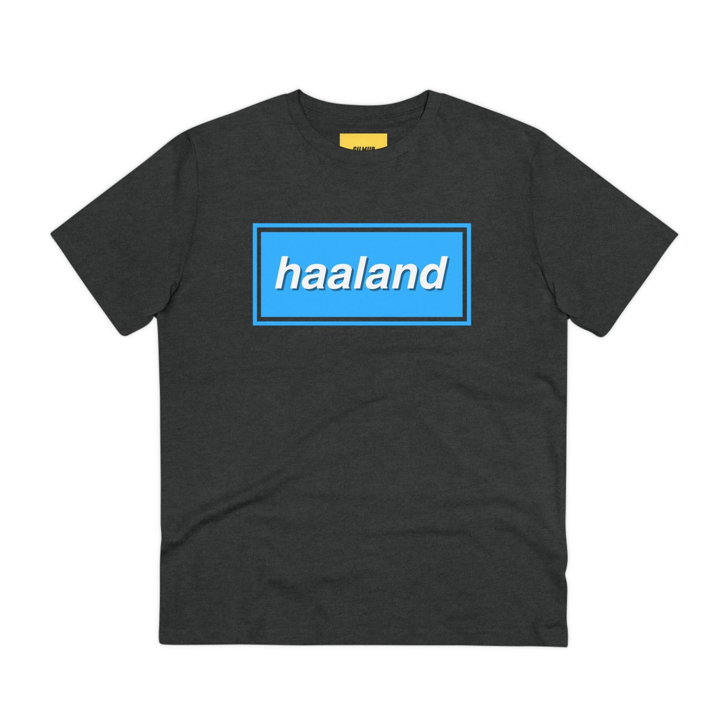 Retro Tee - HAALAND (BLUE)